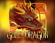 Gold Dragon